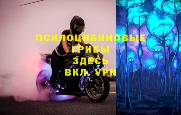ALPHA-PVP Бородино