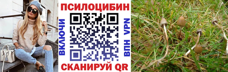 Купить закладки  Мензелинск  Галлюциногенные грибы ЛСД 